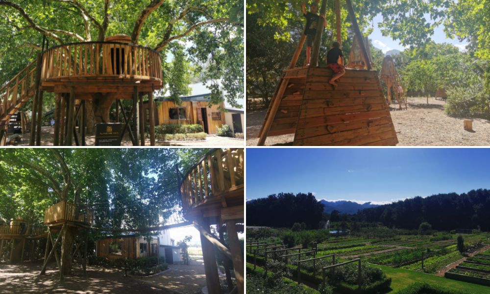The Tree House and play area at Boschendal Wine Farm in the Cape Winelands.