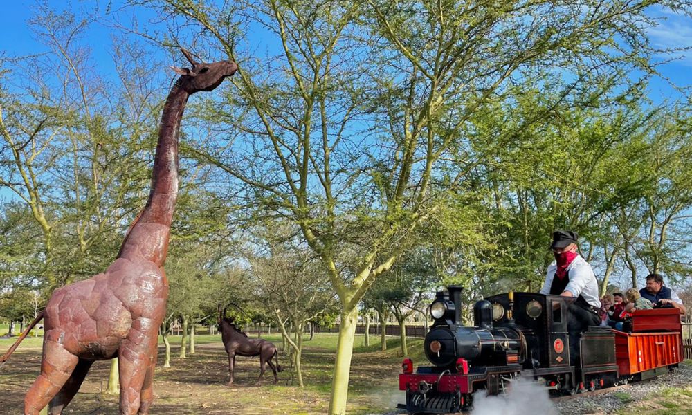 Winelands light railway passing a giraffe sculpture.