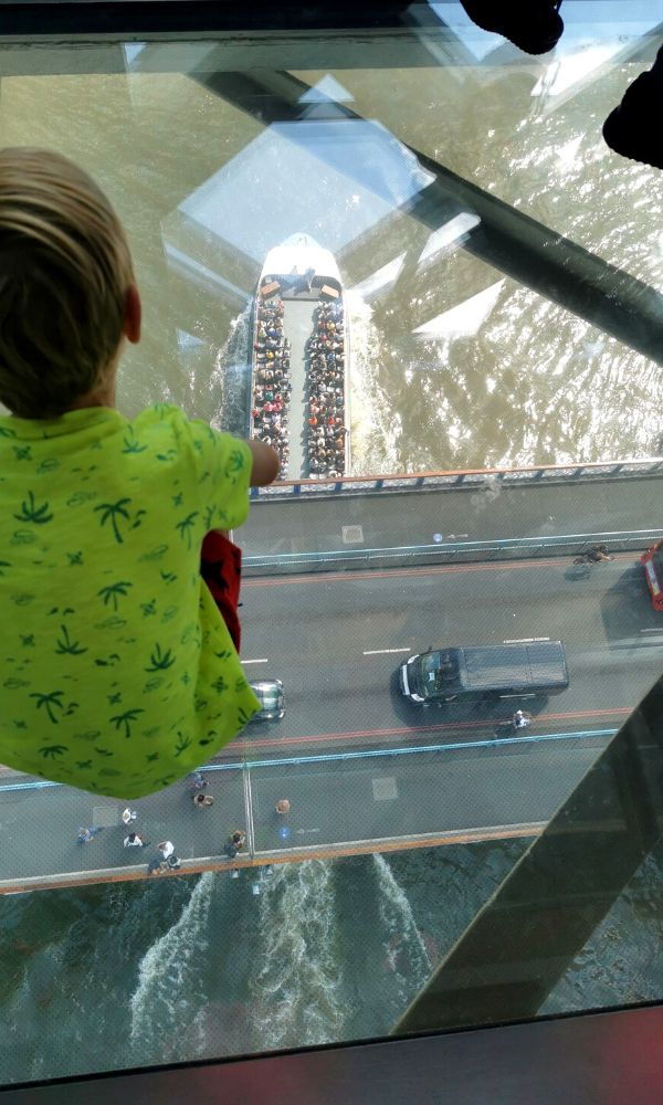 Child looking through the glass floor of Tower Bridge in London at the traffic below.