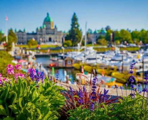 blurred view of the Inner Harbour and the Legislative Assembly building in Victoria BC with colourful flowers in the foreground.