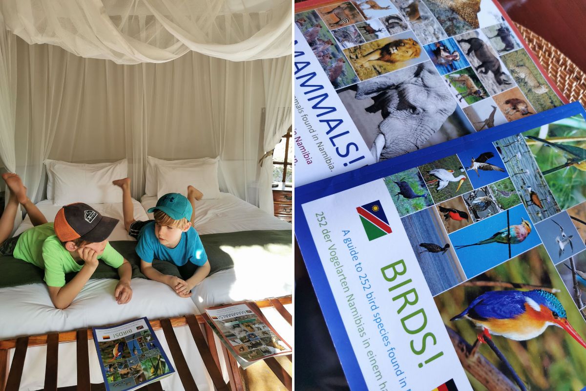 Image of two boys discussing their animal books and an image of a mammal and bird book.