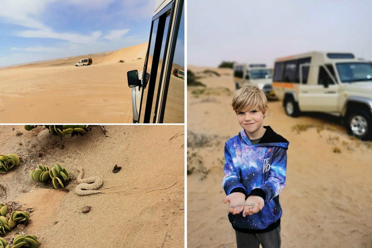 Images from a Living Desert Tour in Namibia on a Namibia road trip for families