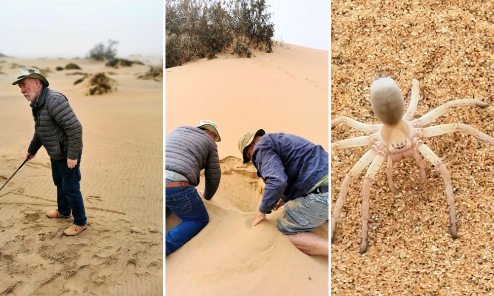 Images from the Living Desert tour in Swakopmund.