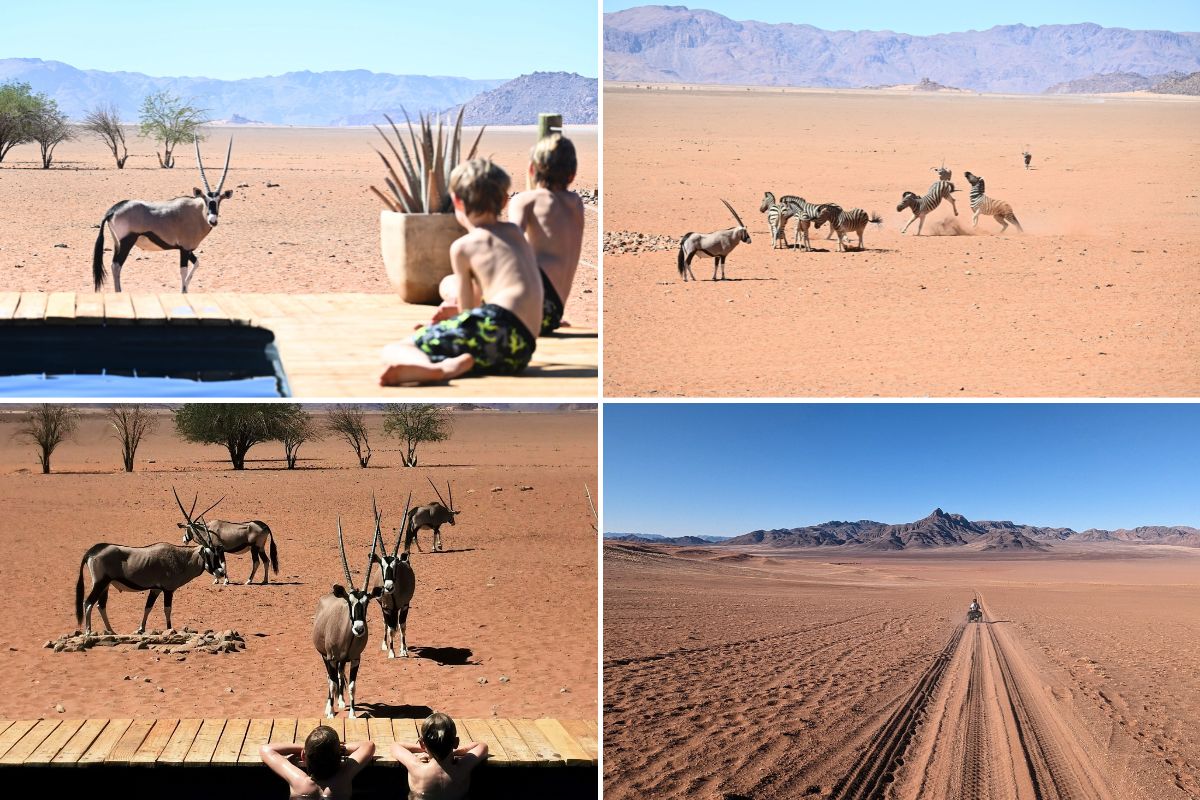 Images of kids in a swimming pool looking at Oryx.