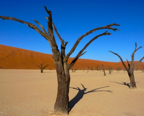 Landscape photo of Deadvlei in the Namib Naukluft National Park in Namibia - one of the most unusual places to see in Namibia.