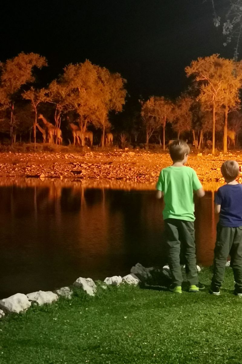 Two kids standing by a waterhole at Onguma Forest Camp at night looking at giraffe.