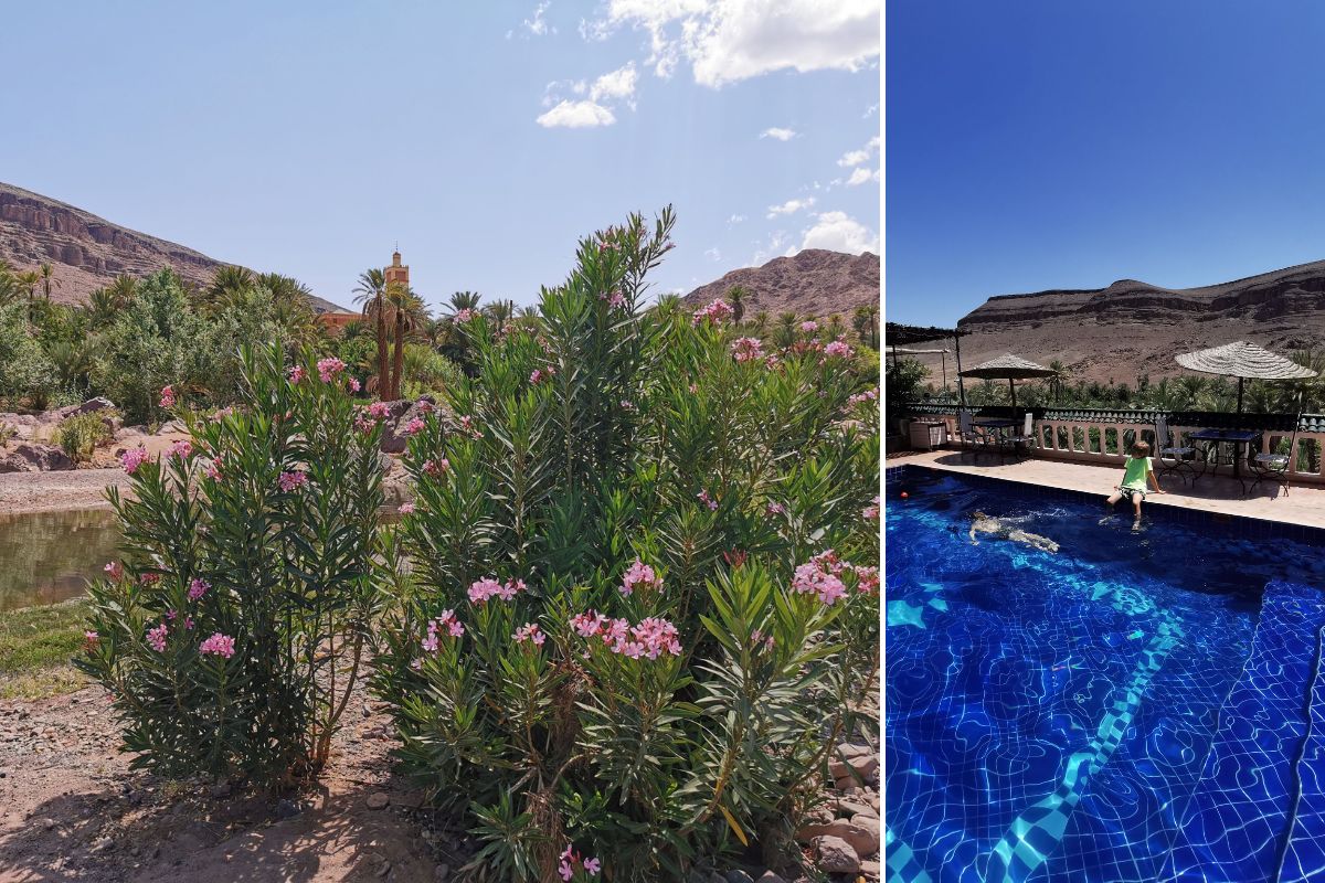 Fint Oasis near Ouarzazate in Morocco and the pool at Terrasse des Delices.