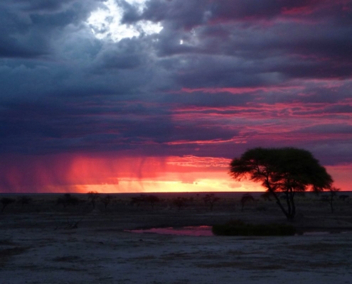 Beautiful sunset with thunderstorm rolling in over Etosha National Park.