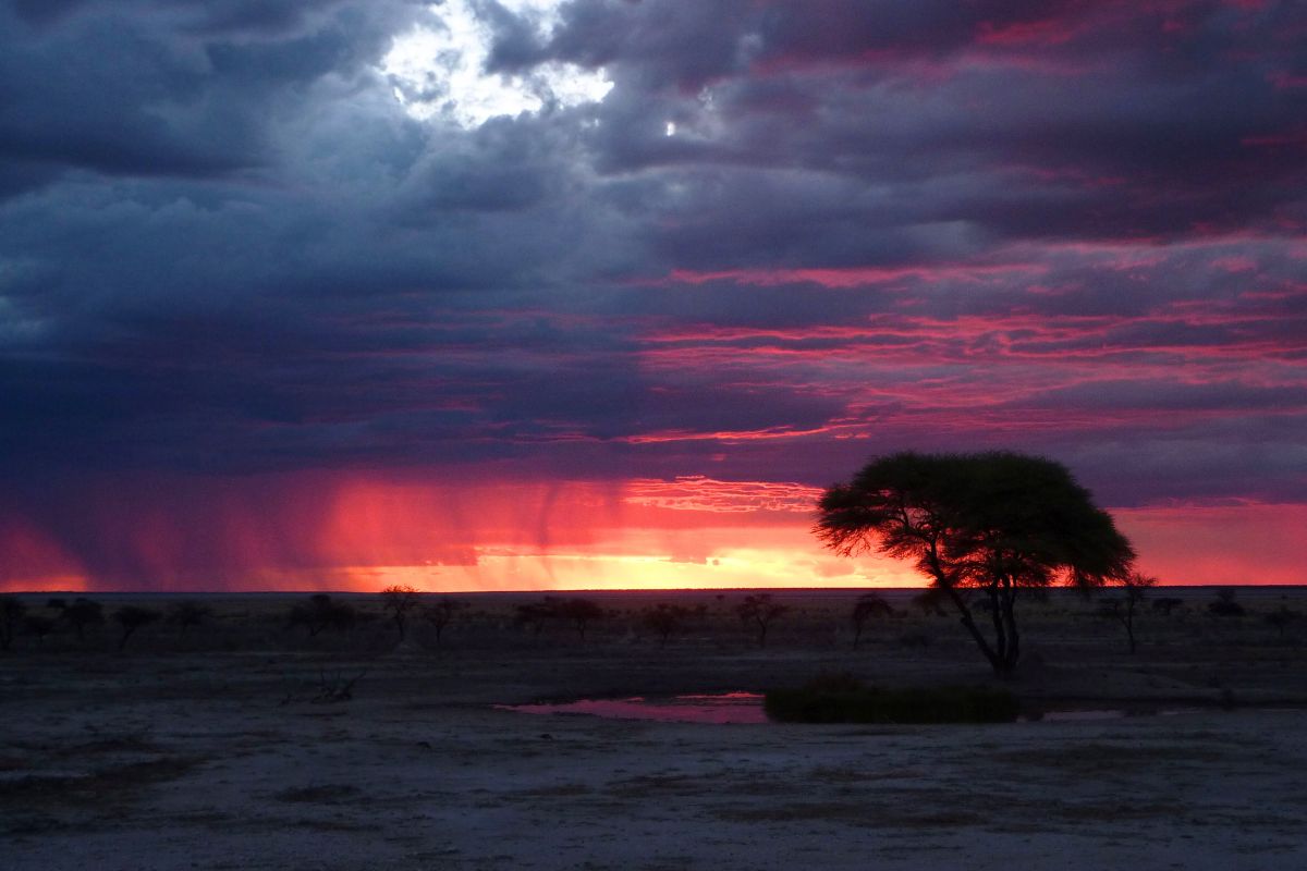Beautiful sunset with thunderstorm rolling in over Etosha National Park.