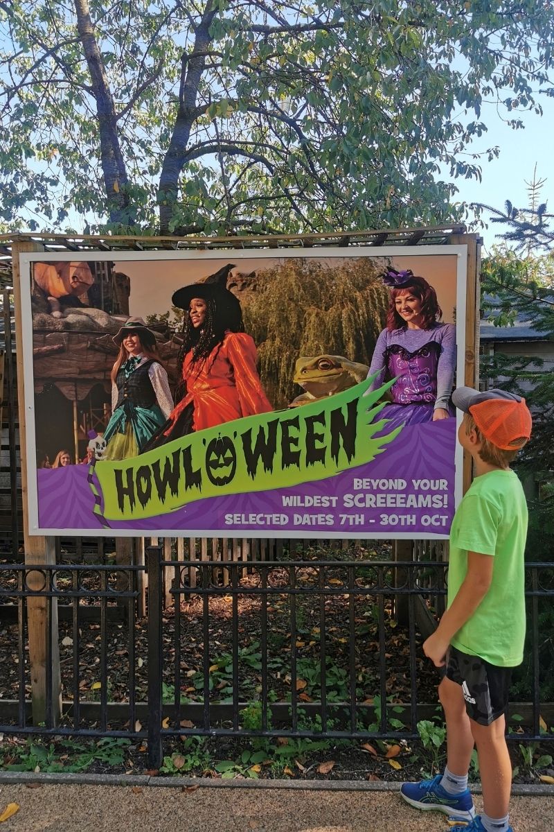 Child looking at a Howl'o'ween poster at Chessington.