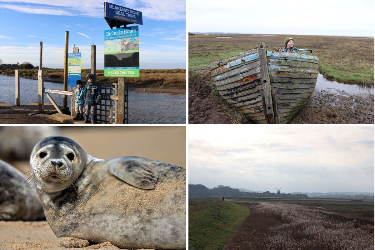 Family walk at Blakeney Point and a grey seal pup.