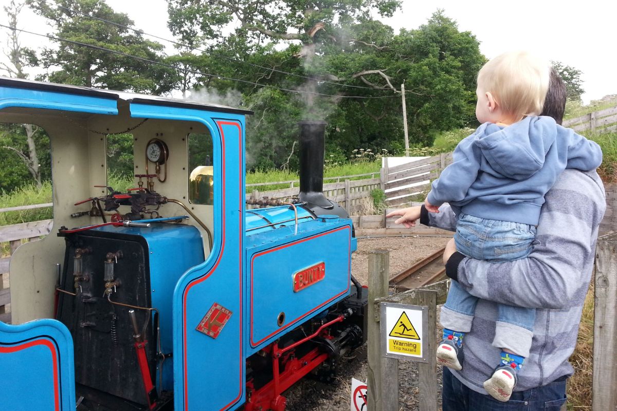 Father and son looking at a small blue steam train.