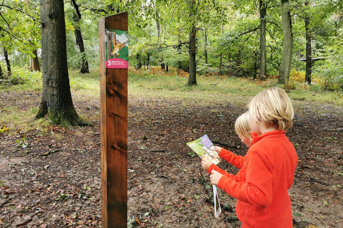Kids on a Gruffalo trail in Thetford Forest.