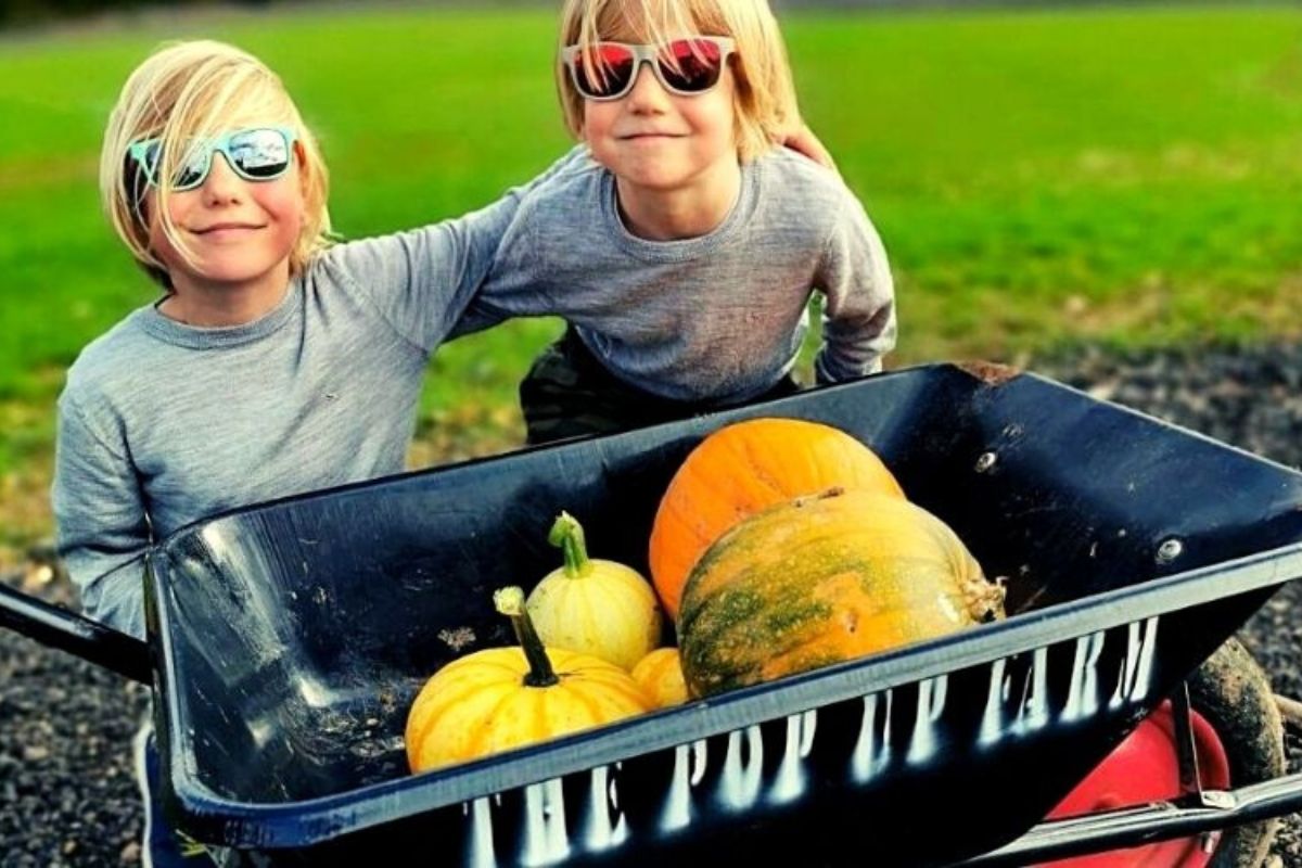 Two boys in front of a barrow of pumpkins.