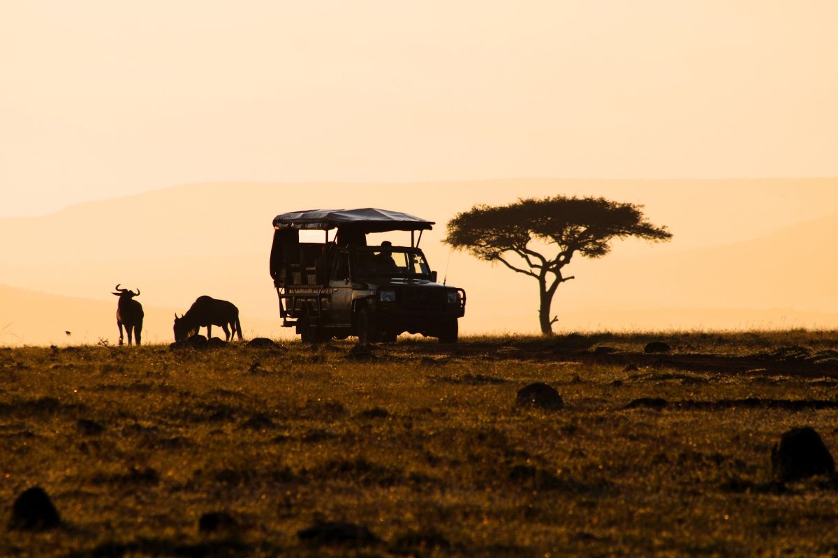 Safari jeep on the horizon in the Masai Mara at sunrise.